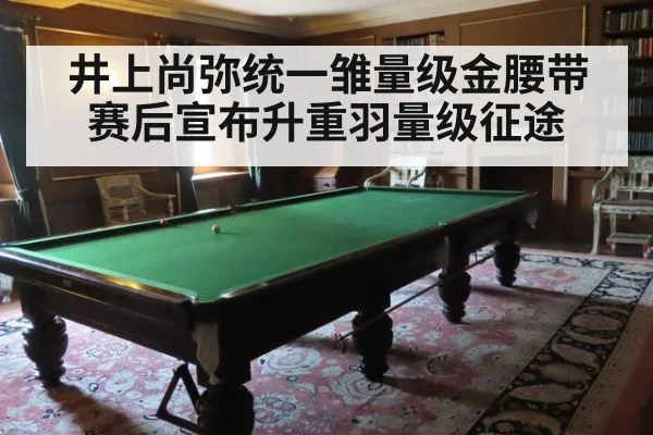 井上尚弥统一雏量级金腰带 赛后宣布升重羽量级征途